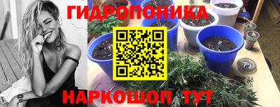 каннабис Владимир