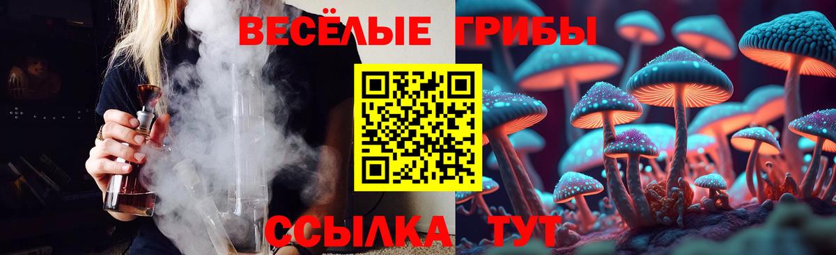 Галлюциногенные грибы GOLDEN TEACHER Ахтубинск