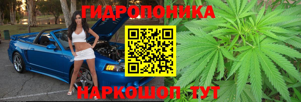 Бошки Шишки MAZAR Ахтубинск